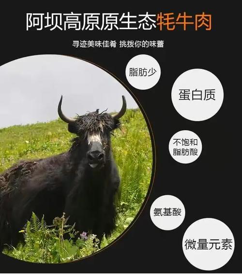 正宗新鮮紅原牦牛肉，當(dāng)天宰殺當(dāng)天配送，品質(zhì)與新鮮兼得