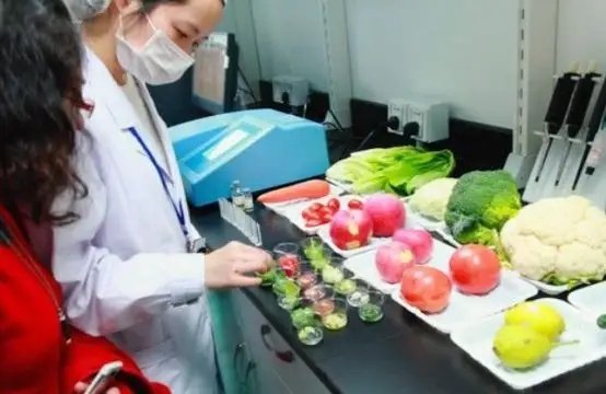 虎門企業餐飲新選擇 飯堂承包與食材配送一站式服務