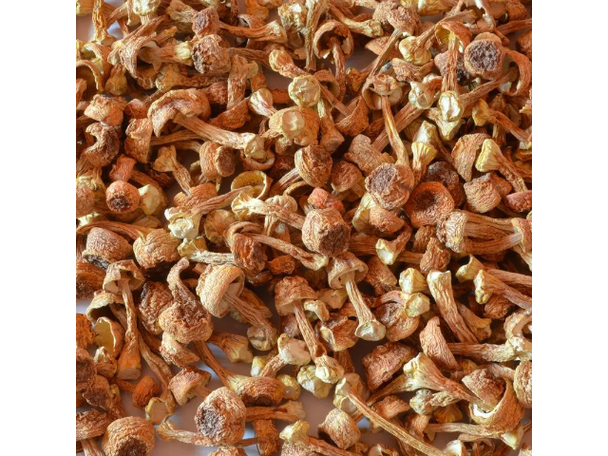 搜了網為您找到260條蔬菜肉類配送的相關產品參數信息